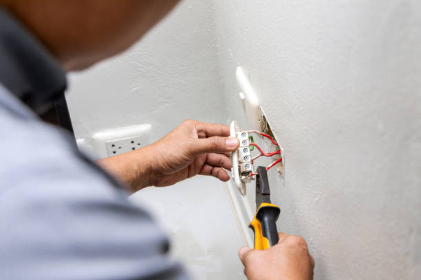 Best Electric Panel Repair  in Greeneville, TN